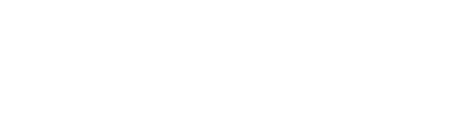 vizio